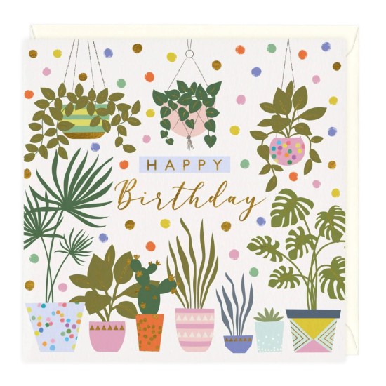Whistlefish Card - Birthday Plant Pots (DELIVERY TO EU ONLY)