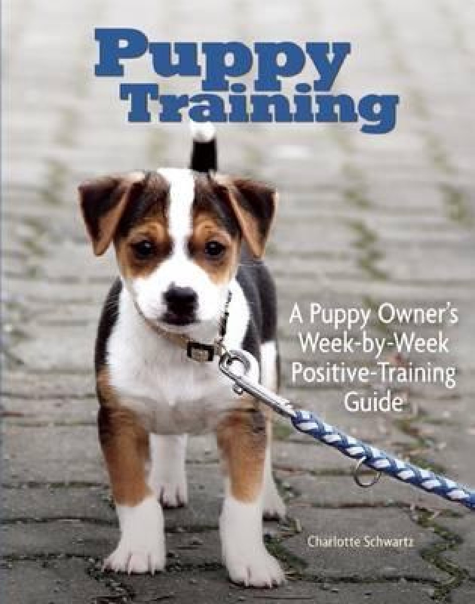puppy training week by week