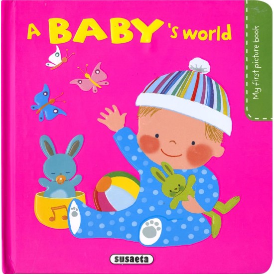 A baby's world (My first picture book)
