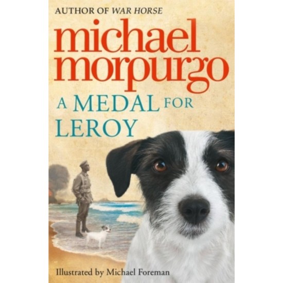 A Medal for Leroy - Michael Morpurgo