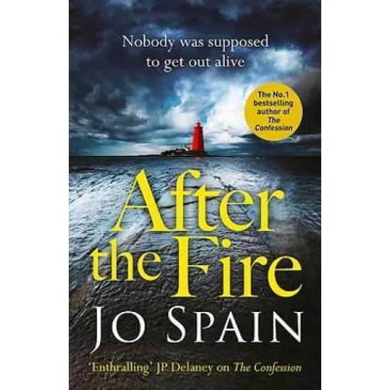 After the Fire  - Jo Spain