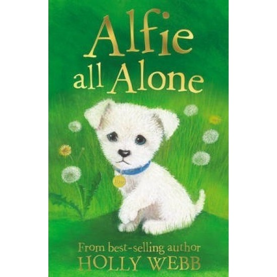 Alfie All Alone (Puppy & Kitten Rescue Series) - Holly Webb