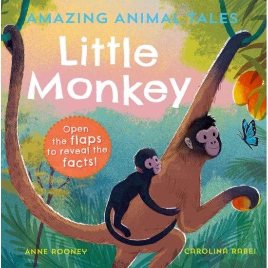 Amazing Animal Tales: Little Monkey (Lift the Flaps)