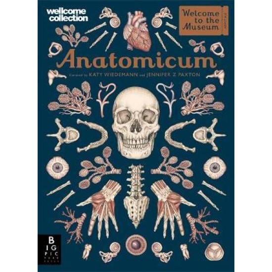 Anatomicum : Welcome to the Museum 