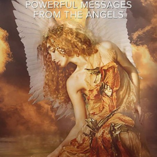 Angel Cards: Healer of Hearts - Mark Bajerski (DELIVERY TO EU ONLY)