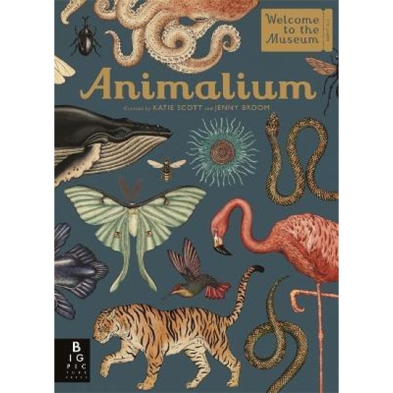 Animalium : Welcome to the Museum 