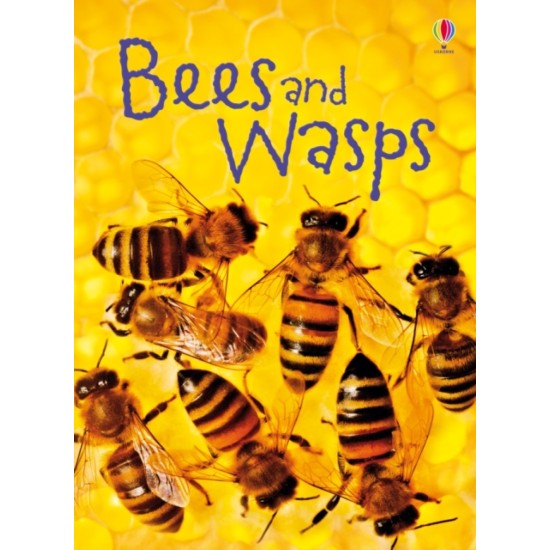 Bees and Wasps (Usborne Beginners) DELIVERY TO EU ONLY
