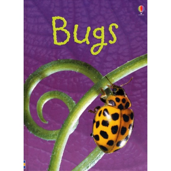 Bugs (Usborne Beginners) DELIVERY TO EU ONLY