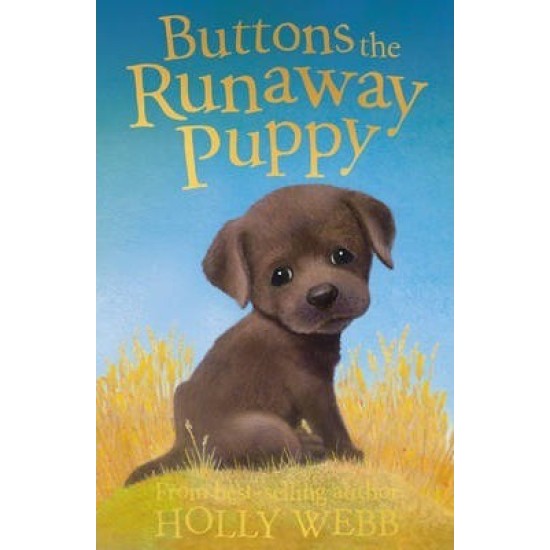 Buttons the Runaway Puppy (Puppy & Kitten Rescue Series) - Holly Webb (DELIVERY TO EU ONLY)