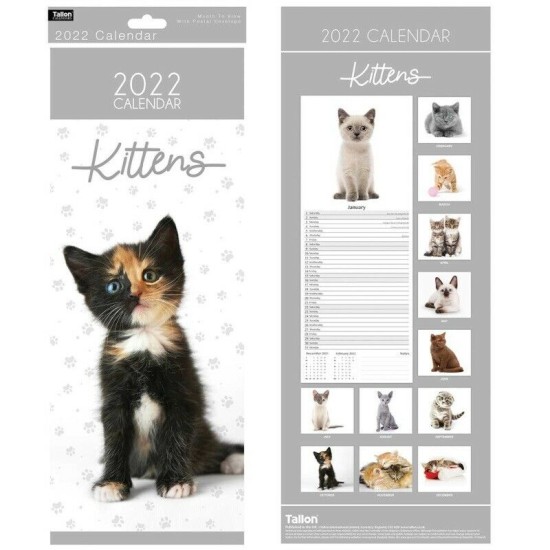 Calendar 2022 : Kittens / Cats (DELIVERY TO SPAIN ONLY)