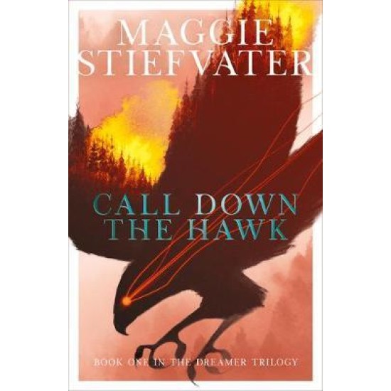Call Down the Hawk - Maggie Stiefvater
