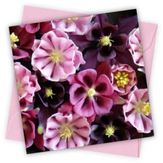Cardtastic: Aquilegias Greeting Card (DELIVERY TO EU ONLY)