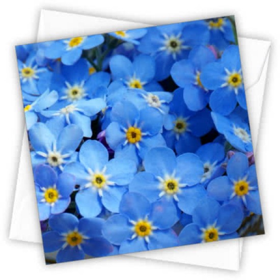 Cardtastic: Forget me nots Greeting Card (DELIVERY TO EU ONLY)