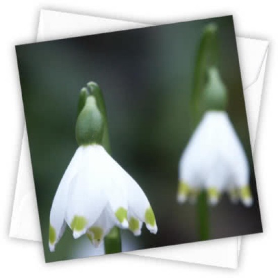 Cardtastic: Mums garden Greeting Card (DELIVERY TO EU ONLY)