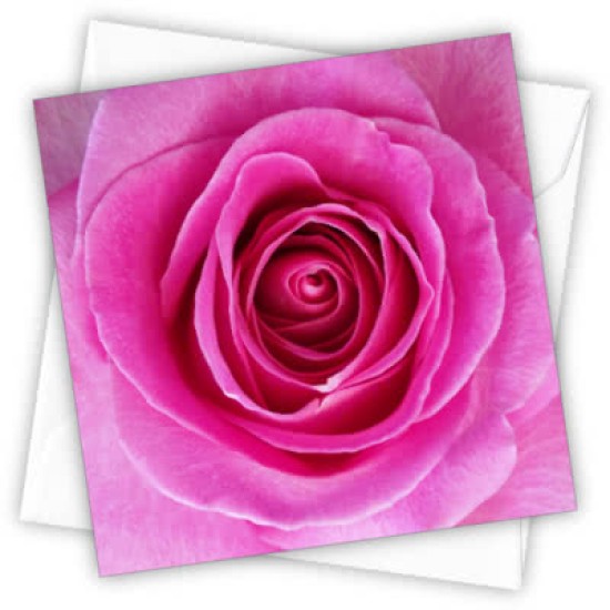 Cardtastic: Rose Greeting Card (DELIVERY TO EU ONLY)