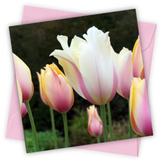 Cardtastic: Tulips Greeting Card (DELIVERY TO EU ONLY)