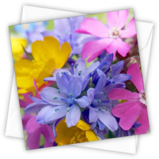 Cardtastic: Wild flowers Greeting Card (DELIVERY TO EU ONLY)