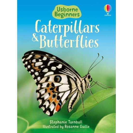 Caterpillars and Butterflies (Usborne Beginners) DELIVERY TO EU ONLY