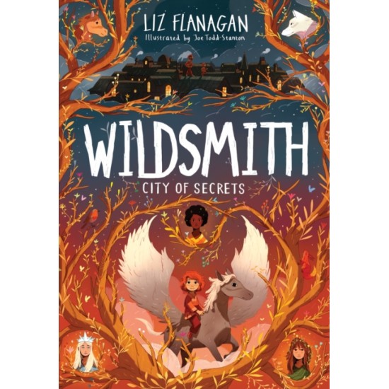 City of Secrets : The Wildsmith 2 - Liz Flanagan