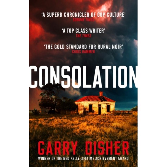 Consolation ( Paul Hirsch mysteries 3) - Garry Disher