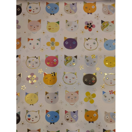Cool Cats Gift Wrap / Sheet wrap TSKY