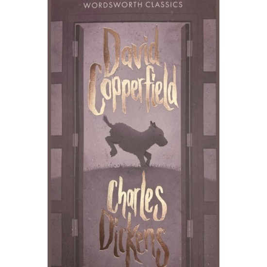 David Copperfield - Charles Dickens