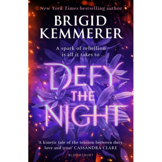 Defy the Night (Defy the Night 1) - Brigid Kemmerer