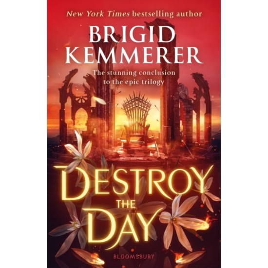 Destroy the Day (Defy the Night 3) - Brigid Kemmerer
