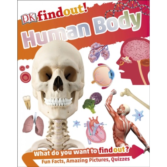 DKfindout! Human Body (DELIVERY TO EU ONLY)