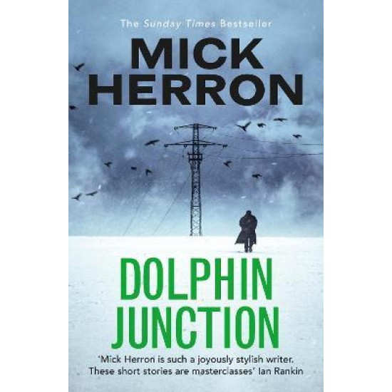 Dolphin Junction - Mick Herron