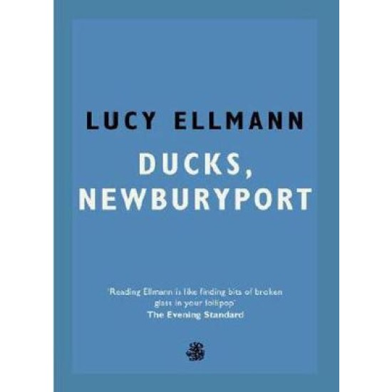 Ducks, Newburyport - Lucy Ellmann