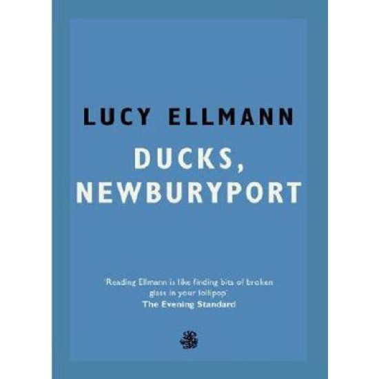 Ducks, Newburyport - Lucy Ellmann