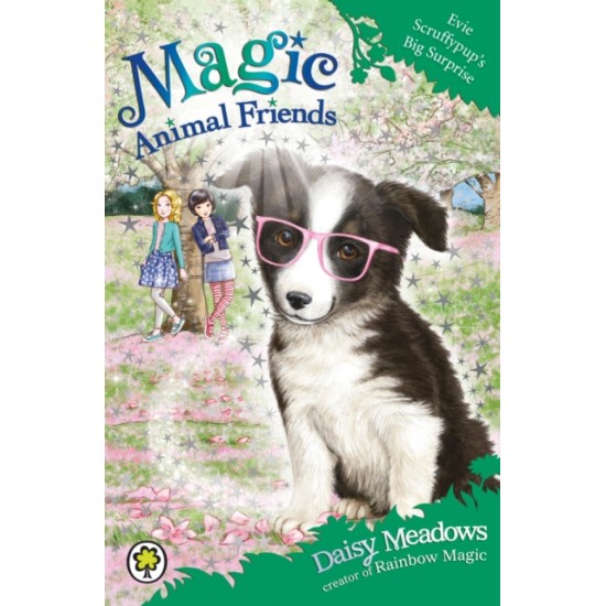 Evie Scruffypup's Big Surprise - Daisy Meadows (Magic Animal Friends) DELIVERY TO SPAIN ONLY)