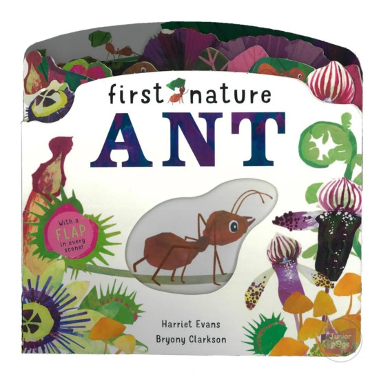 First Nature Ant