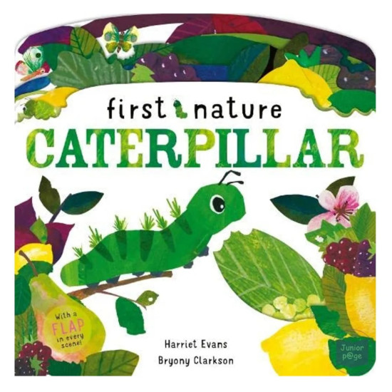 First Nature Caterpillar