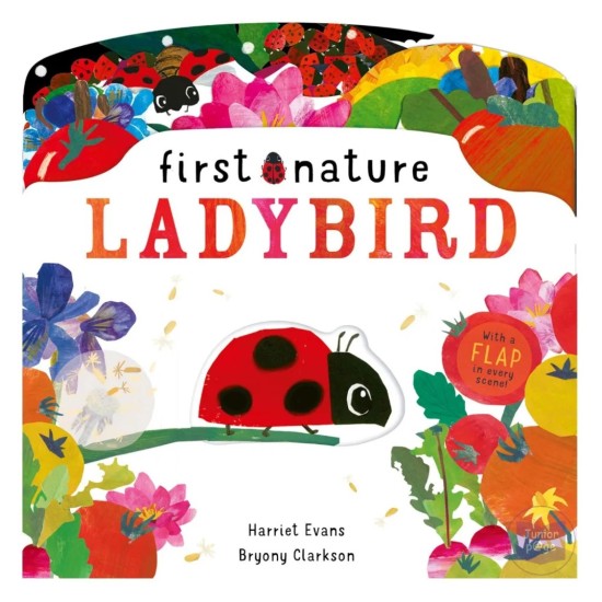 First Nature Ladybird