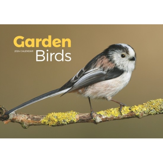 Garden Birds A4 Calendar 2024