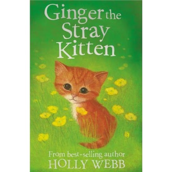 Ginger the Stray Kitten (Puppy & Kitten Rescue Series) - Holly Webb (DELIVERY TO EU ONLY)