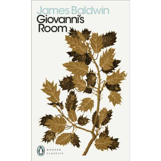 Giovanni's Room - James Baldwin