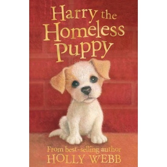 Harry the Homeless Puppy (Puppy & Kitten Rescue Series) - Holly Webb (DELIVERY TO EU ONLY)