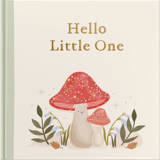 Hello Little One : A Fill-in-the-Blanks Keepsake Book, Made Special by You (Baby Journal)
