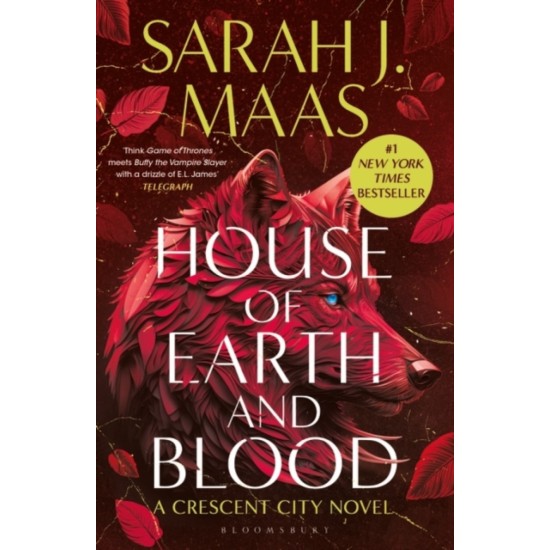 House of Earth and Blood- Sarah J. Maas