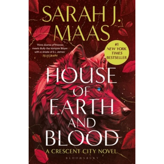 House of Earth and Blood (Crescent City 1) - Sarah J. Maas