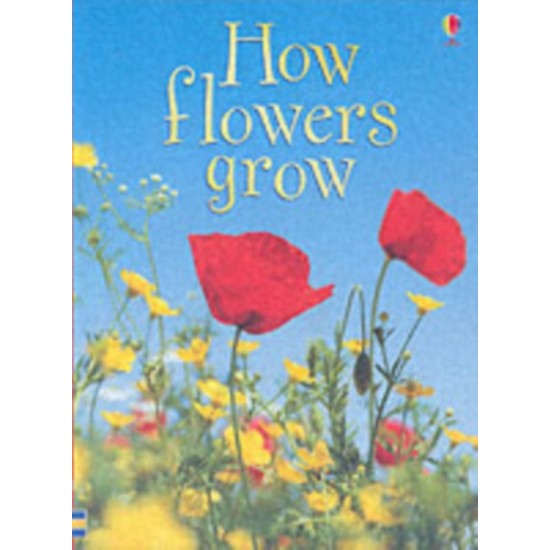 How Flowers Grow (Usborne Beginners) DELIVERY TO EU ONLY