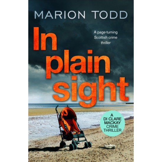 In Plain Sight - Marion Todd