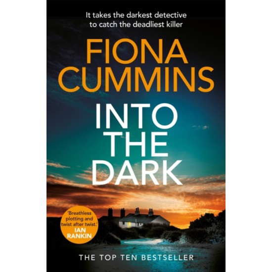 Into the Dark - Fiona Cummins
