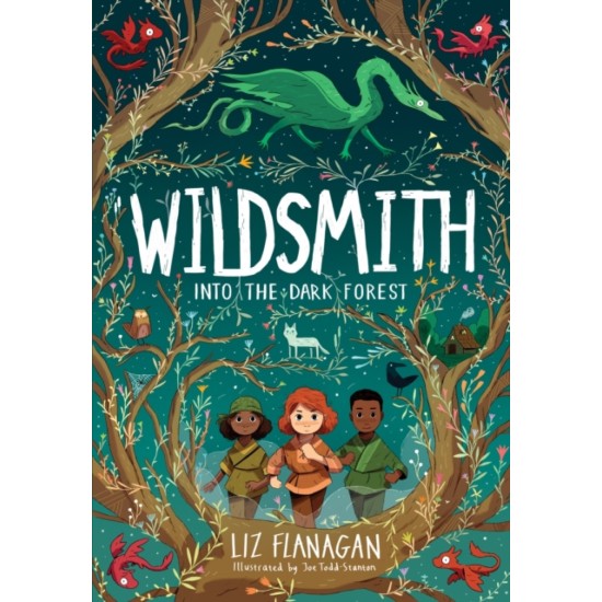 Into the Dark Forest : The Wildsmith 1 - Liz Flanagan
