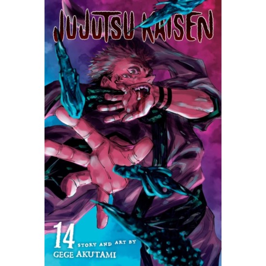 Jujutsu Kaisen, Vol. 14 - Gege Akutami 