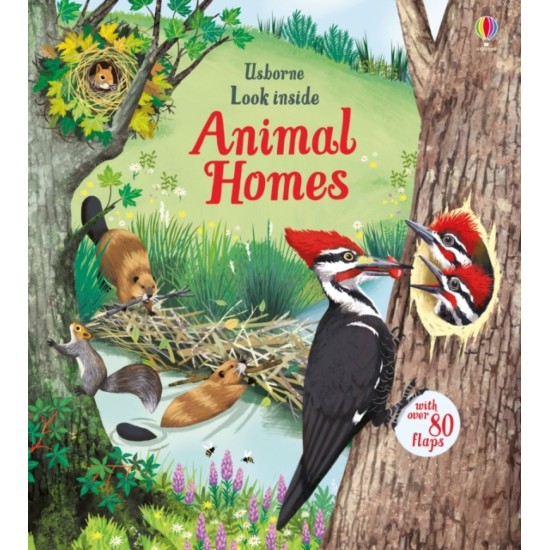 Look Inside Animal Homes (Usborne Lift the Flap)