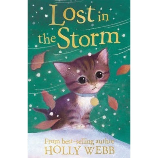 Lost in the Storm (Puppy & Kitten Rescue Series) - Holly Webb (DELIVERY TO EU ONLY)